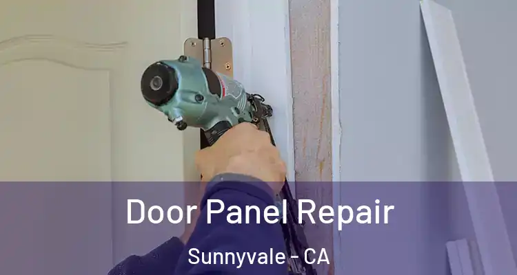  Door Panel Repair Sunnyvale - CA