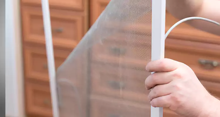 Privacy Mesh Screen Door Installation in Sunnyvale, CA