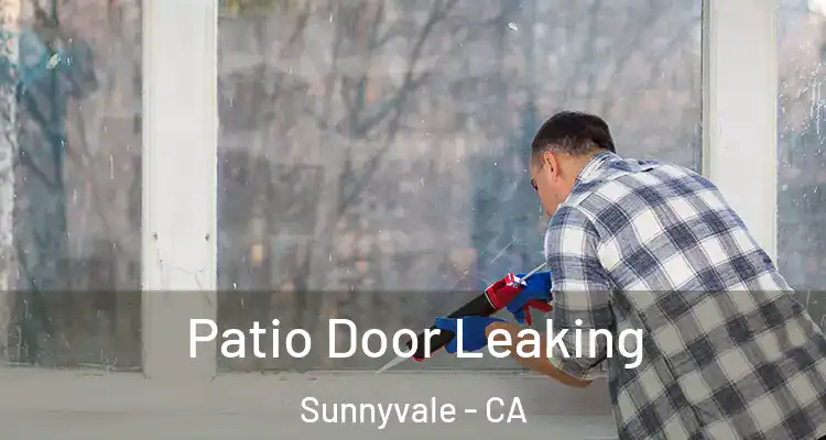  Patio Door Leaking Sunnyvale - CA