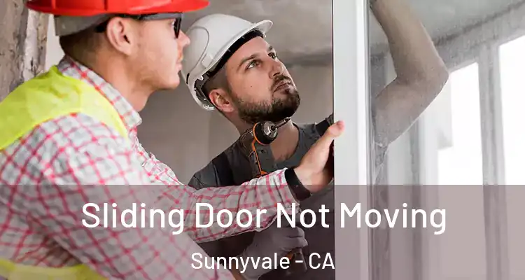  Sliding Door Not Moving Sunnyvale - CA