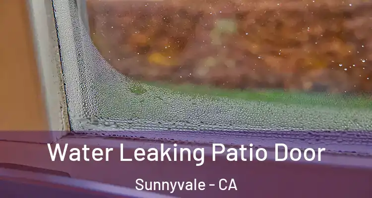  Water Leaking Patio Door Sunnyvale - CA